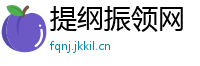 提纲振领网